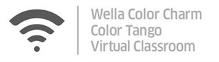 Image for Virtual Sessions: Clairol, Wella Color Charm & Color Tango Virtual